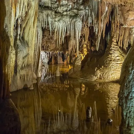 In - Istrien 10215 Poreč